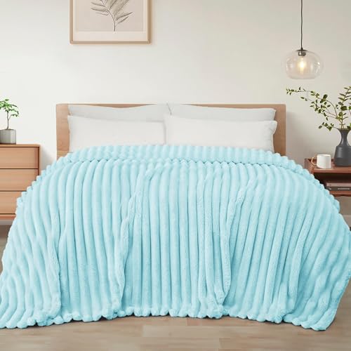 Exclusivo Mezcla Kuscheldecke Flauschig Fleecedecke Flanell Decke, Leichte & Warme Sofadecke Couchdecke für Ganzjahreszeit, 150 x 200 cm Hellblau