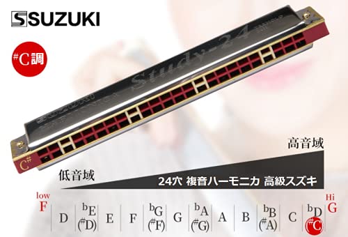 Amazon | SUZUKI -24H C 24穴 複音ハーモニカ 高級スズキ 複音
