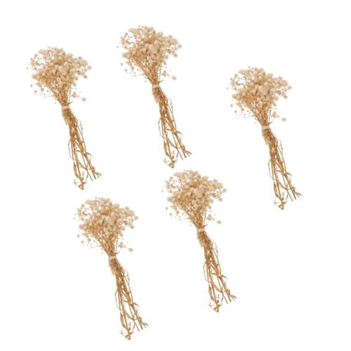 Ramo de flores secas Babysbreath 5 piezas 12cm miniatura 1