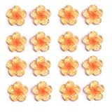 KKlewu 140枚入り プルメリア 花 チャーム フラワー 透け色 粘土ビーズ ペンダント イヤリング 透明 花びら 3d 樹脂粘土手芸 パーツ ピアス 手作りキット DIY 22mm (イェロー)