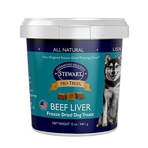 Why Does My Dog Smell Of Ammonia