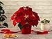 Christmas Decoration Pre-Lit Faux Poinsettia Plant-LED Lighted Artificial Poinsettia in Pot (Red)