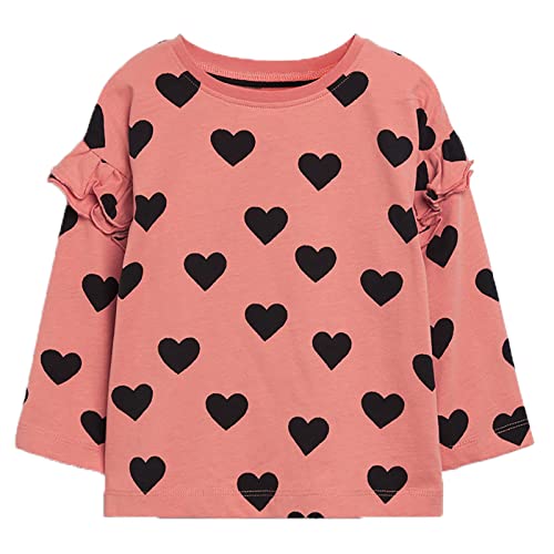 Toddler Girl Long Sleeve T-Shirts Cotton Casual Crewneck Graphic Tops Tees 2-Packs Sets2