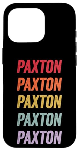 �p�N�X�g�� �X�}�z�P�[�X iPhone 16 Pro �p