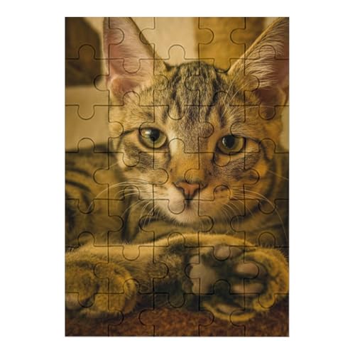 L   pY NG[VAjObY 킢 l jp D ߋ t@[Xg`CX ؐ  Ǐ葡蕨 av[g