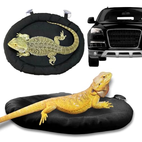 IYOIYA ঒��� �L�����[ �z�Օt�� �x�b�h 35x28 ������ �_�b�V���{�[�h ������ �}�b�g �ӂ�ӂ� �����b�N�X �N�b�V���� �g�J�Q �J�����I�� �q���E�����g�J�Q���h�L �t�g�A�S�q�Q�I�I�g�J�Q ���I�p�[�h�Q�b�R�[ ����P�[�X���� �V�F���^�[ ��