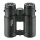 Fernglas 10×42 Eschenbach Optik Sektor D compact