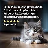 Dr. SAM wufit Cats Tabletten – Ergänzungsfuttermittel zur Unterstützung der Magen-Darm-Funktion nach exklusiver Tierarzt-Rezeptur, für Katzen unter 5kg (1-Monatspackung)