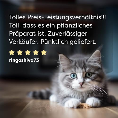Dr. SAM wufit Cats Tabletten – Ergänzungsfuttermittel zur Unterstützung der Magen-Darm-Funktion nach exklusiver Tierarzt-Rezeptur, für Katzen über 5kg (3-Monatspackung)