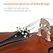 Doredo Full Size Cello 4/4 for Adults, Beginners, Acoustic 4/4 Cello Set with Portable Bag, Bow, Rosin, Natural