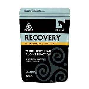 PURICA Equine Hyaluronic Acid – Horse Joint Support Supplement with Glucosamine, MSM Powder, Betaine, Magnesium, Vitamin C and E – Green Tea and Grape Seed Extract – Horse Supplies and Treats