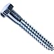 VOX Verschluss 014973455507 Hex LAG Schrauben (12 Stück), 5/16 x 2–1/5,1 cm