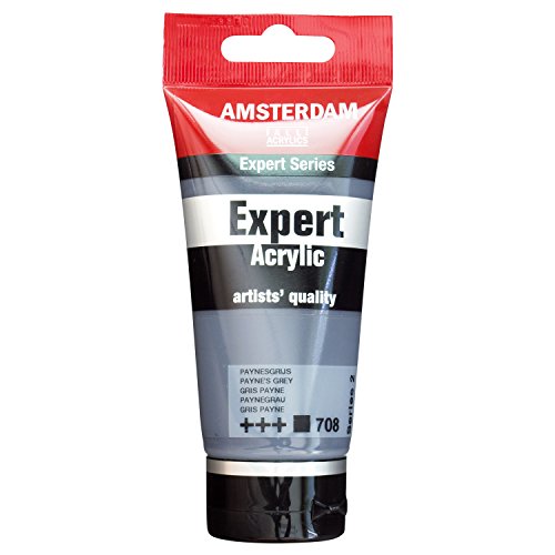 ターレンス アクリル絵具 アムステルダムアクリリックカラーエキスパート ペイニーズグレー T1911-708-0 75ml