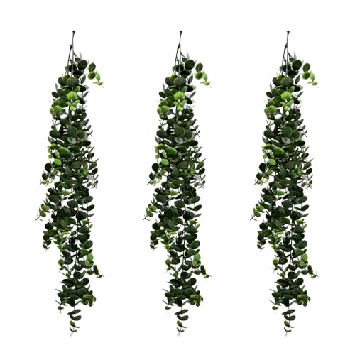 Branch leves tFCNO[ CCGT008 ݂艺 Ǌ| CeA lHϗtA (CCGT008, 3)