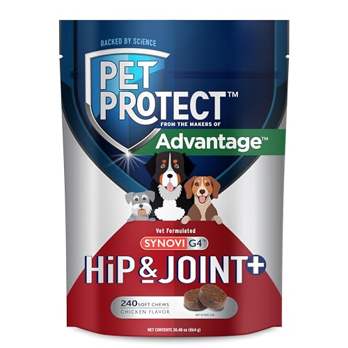 Pet Protect Dog Hip & Joint+ Supplement for Active & Aging Dogs, Vet-Formulated Synovi G4, Dog Glucosamine, Chicken-Flavored Soft Chews (240 Count)