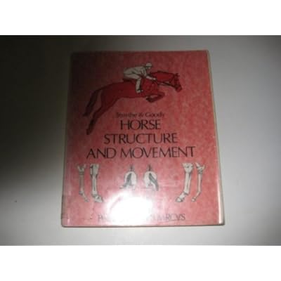 Horse Structure and Movement