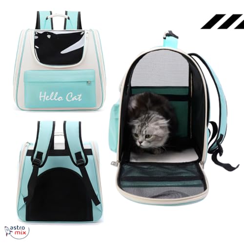 Mochila Bolsa Cães E Gatos Pet Mala Avião Viagem Transporte (roxo)