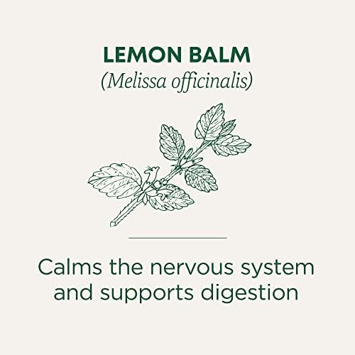 Traditional Medicinals Tea, Organic Lemon Balm, Calms Nerves & Supports Digestion - 48 Tea Bags