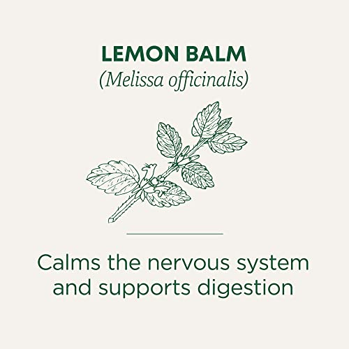 Traditional Medicinals Organic - Lemon Balm - 16 Tea Bags