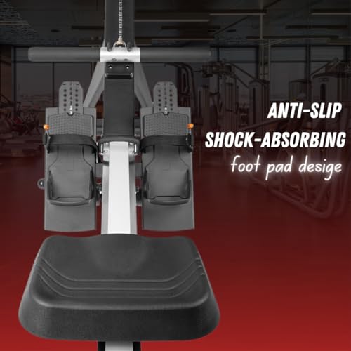 Image of LET'S PLAY LP-CONCEPT2 Commercial Air Rowing Machine for Home Gym Full Body Workout, Fitness Rower Machine with Multi Level Resistance for Cardio & Strength Training