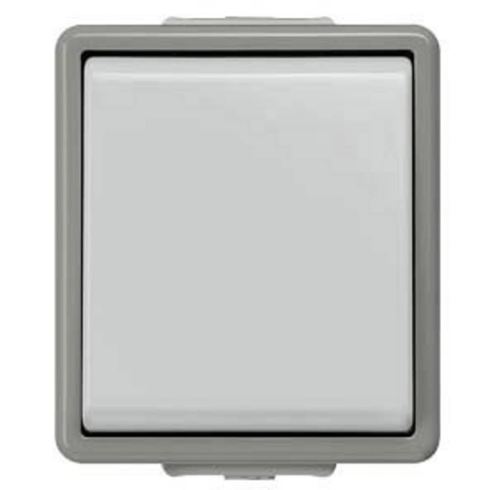 BJC Delta Delta Surface Switch IP44