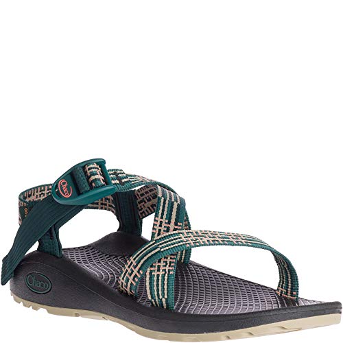 Image of Chaco Women's Zcloud Sandal