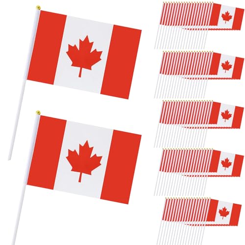 Petits drapeaux du Canada à main pour célébrer la fête nationale - 2