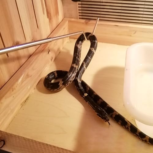 HANABASS Mini gancho de cobra de aço inoxidável 68 cm acessórios de cobra retrátil ferramenta de man