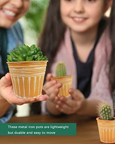 Vensovo 3 Inch Orange Metal Rustic Flower Pots - 9Pcs Small Galvanized Planters With Drainage Hole And Rubber Plug, Rustproof Metal Bucket Plant Pots Farmhouse Vintage Style For Decor #TOP5