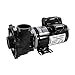 Waterway 3420410-1A 1 hp 115V 2-Speed Spa Pump 2" x 2" 48 Frame Executive Side Discharge