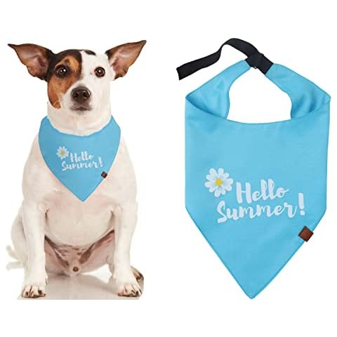 Odi Style Dog Bandana Collar - Dog Accessories for Small Dogs, Puppy Dog Bandanas Boy Girl, Handkerchief, Scarf for Medium Dogs, Unique Shape, Adjustable Fit, Graphic Design, One Piece (Turquoise) Cover
