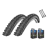 2er Set Schwalbe Reifen Smart Sam HS 476 28 Zoll (44-622) auswählbar mit Schläuchen + MSZweirad Reifenheber Performance Line (28 x 1,65 (44-622), AV Schläuche)