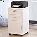 Szafka biurowa Pionowa szafka na dokumenty, mobilna szafka z szufladami, wielofunkcyjna szafka do przechowywania, do zmontowania, używana do obsługi drukarki, stojak na dokumenty komputerowe (40x