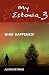 My Estonia 3: What Happened?