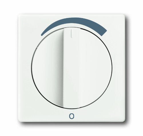 Preisvergleich Produktbild Busch-Jaeger 1740 DR / 03-884 Zentralscheibe