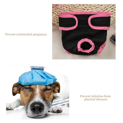 Image of Dog Underwear Flexible Physiological Pants Puppy Female Pet Sanitary Diaper for Small Medium Large Dogs(M- Black)