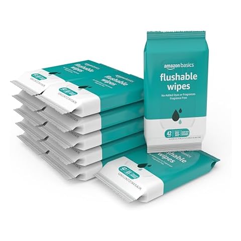 Amazon Basics Flushable Toilet Wipes Cover
