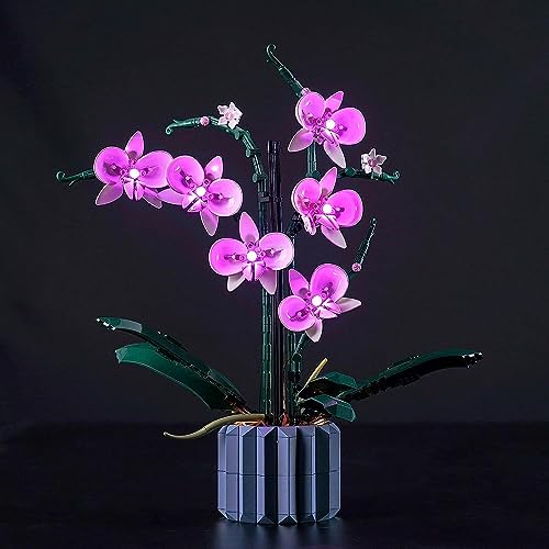 Led Licht Set Kompatibel mit Lego Orchidee (Nur Lichter, kein Baustein), Licht-Kit Compatible with Lego 10311 Orchidee Botanical Collection Set