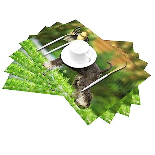 Set de table Schnauzer antidérapant pour table propre et protégée de la chaleur - 3