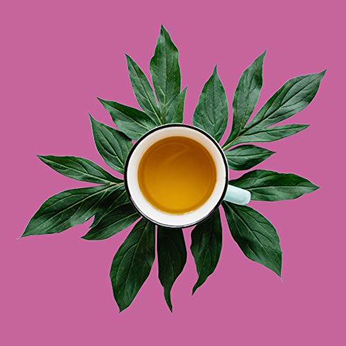 Berry Bliss, Loose Leaf Herbal Tea - Elderberry, Hibiscus, Currant | Caffeine-Free, Cold Care Tea & Immune Boost | Bulk 8Oz, 80-100 Cups | The Spice Hut, First Sip Of Tea #TOP2