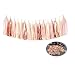 Sogorge 15 Pcs 14 Inches Tissue Paper Tassel Garland Rose Gold Foil Pink and Ivory Tassel Garland Free Rose Gold Paper Confetti 10g for Weddings Birthday Bridal Shower Baby Showers Decor(Rose Gold)