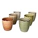 MamboCat Nature Kaffeebecher ohne Henkel I 6er Set Steingut-Tasse groß mit Strudel-Dekor - in 6 tollen Natur-Tönen I Tea & Coffee Mug - moderner Landhaus-Stil I Kaffee-Tassen bunt 300 ml 6 Stück
