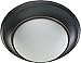 Flush Mount Finish: Old World, Size: 6.5" H x 17" W