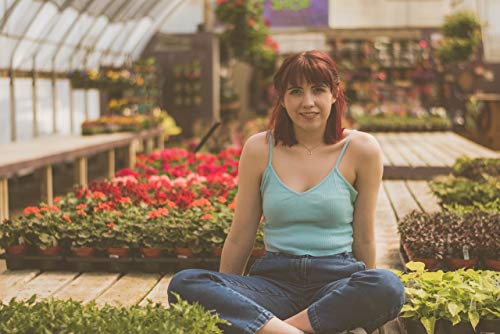 A&A Green Store Greenhouse Plastic 4 Year 6 mil UV Resistant Clear Polyethylene Film (12' x 25') - Thumbnail 4