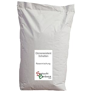 10 kg voor ca. 300 m² schaduwgazon, droogbestendig, gazonzaad, kwaliteit gazonzaad, gazonmengsel