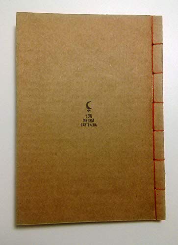 Saindo da Piscina de Éter, Poemas Ilustrados