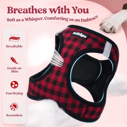Image of rabbitgoo Dog Harness Small Sized and Leash Set, Step-in Puppy Pet Vest