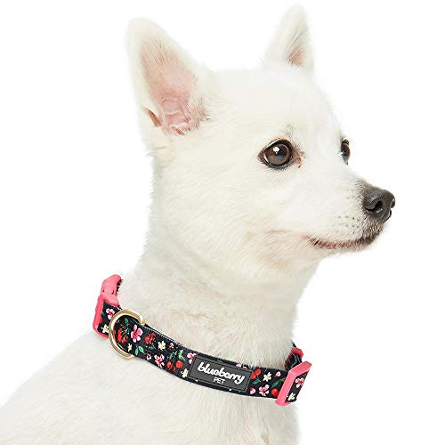 Blueberry Pet 7 Patterns Cherry Garden Black Adjustable Dog Collar with Dainty Flowers, X-Small, Neck 8"-11" - Image 5