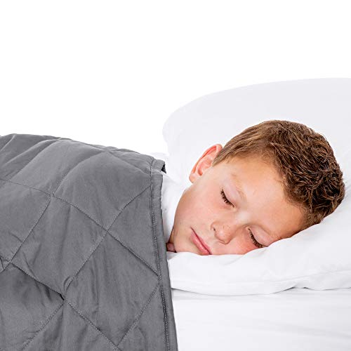 Top 10 Twin Size Weighted Blankets of 2022 Katynel