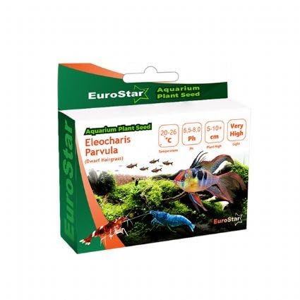Eurostar Bitki Tohumu Eleocharis Parvula
